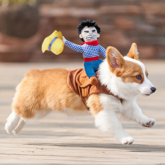 Halloween Dog Costume – Funny Cowboy Knight Pet Outfit for Parties, Role Play & Entertainment