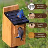 Cedar Bluebird Box House – Premium Cedar Nest Box for Bluebirds & Songbirds