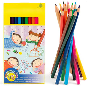 12PCS