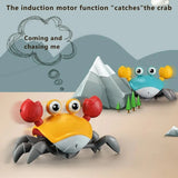 https://www.pulingo.com/products/engaging-interactive-dancing-crab-dog-toy-with-musical-sounds-entertaining-and-stimulating-pet-toy-for-dogs-and-cats-keeps-y?utm_source=copyToPasteBoard&utm_medium=product-links&utm_content=web