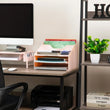 Vertical File & Document Organizer – Plastic Desktop File Holder (Pink)