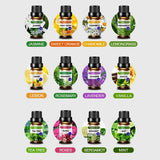 12-Pack Essential Oils Set – 10 mL Each, 12 Fragrances for Diffuser & Aromatherapy Home Relaxation