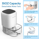 1000 ml Mini Air Dehumidifier – Quiet Auto-Shutoff Moisture Reducer for Bedroom, Home & RV