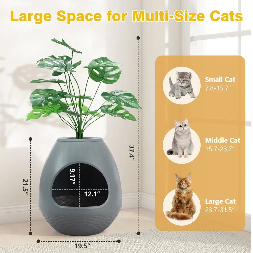https://www.pulingo.com/products/egg-shaped-smart-cat-litter-box-with-odor-removal-system-semi-enclosed?utm_source=copyToPasteBoard&utm_medium=product-links&utm_content=web