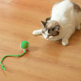Automatic Interactive Cat Ball Toy – Self-Rolling Rechargeable Smart Motion Ball for Indoor Cats