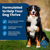 Life Protection Formula Adult Dry Dog Food – Chicken & Brown Rice Recipe for Strong Muscles & Vitality (34 lb Bag)