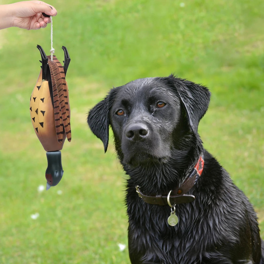 Multipurpose Pet Dead Fowl Fetch Toy – Realistic Training Dummy for Dogs, Indoor & Outdoor Retriever Practice