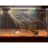 VolcanoRed 11 lb Natural Red Sand Aquarium Substrate – Coarse Lava Rock Soil for Fish Tanks & Succulents