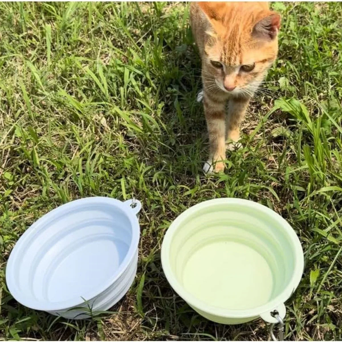 2-Pack Collapsible Pet Silicone Bowls – Portable Folding Food & Water Dishes with Carabiner for Dogs & Cats, Camping & Travel