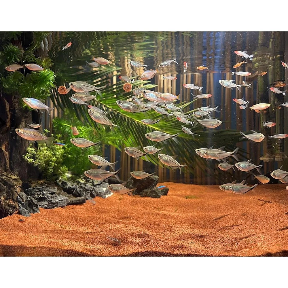 VolcanoRed 11 lb Natural Red Sand Aquarium Substrate – Coarse Lava Rock Soil for Fish Tanks & Succulents