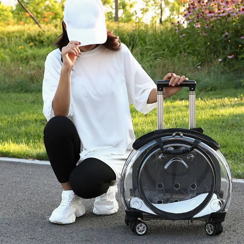 Pet Trolley Case with Clear Ventilation Holes – Silent Wheels, Portable Travel Backpack Carrier for Cats & Dogs