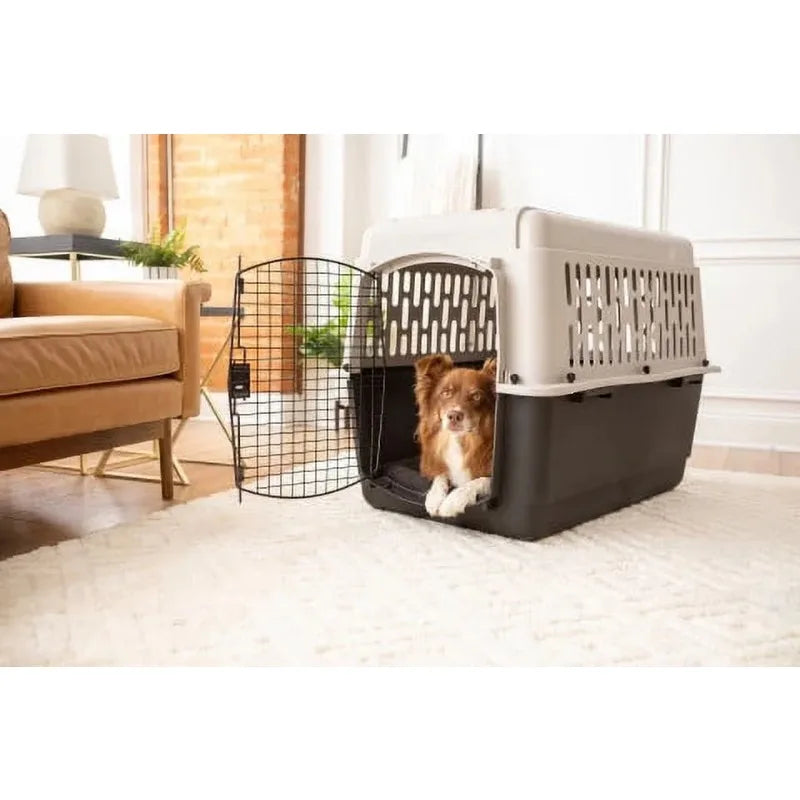 Vibrant Life Medium Pet Kennel (36") – Plastic Travel Dog Crate & Carrier for Pets 50–70 lbs (Grey)