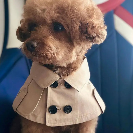 British Style Dog Cloak – Fashion Windbreaker Cape for Small Dogs (Corgi, French Bulldog & More)