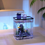 Mini Fish Tank Starter Kit – Ultra White Desktop Aquarium with Filter & Oxygen Generator, Home Decoration & Landscaping