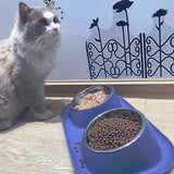 Stainless Steel Double Cat & Dog Bowl – Tilted Pet Food & Water Feeder with Non-Slip Base for Neck Safety 🐾🥣