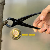 210 mm Bonsai Scissor – Alloy Steel Branch Cutter & Pruning Pliers for Bonsai Trees