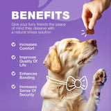 15-in-1 Dog Multivitamin Chews with MSM – Complete Hip & Joint Support, Skin & Coat Health, Itchy Skin Relief & Daily Wellness Supplement