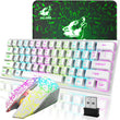 Mambasnake X Ziyou Lang T61 Wireless Gaming Keyboard and Mouse Combo – 61-Key Ergonomic Design with Rainbow LED Backlight