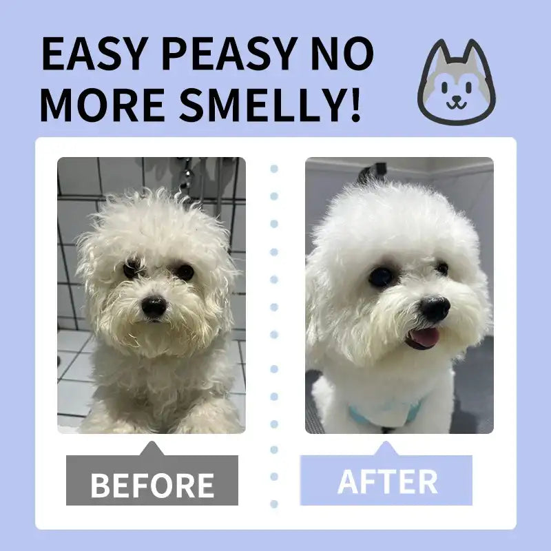 Extra-Thick Pet Cleaning Wipes (200 Sheets) – Septic-Safe, pH-Balanced for Sensitive Skin 🐾