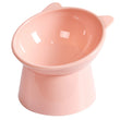 Tilted Elevated Cat Food Bowl – Ergonomic Raised Anti-Vomiting Feeder for Flat-Faced Cats & Small Dogs