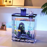 Mini Fish Tank Starter Kit – Ultra White Desktop Aquarium with Filter & Oxygen Generator, Home Decoration & Landscaping