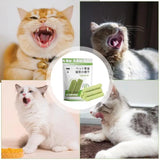 Cat Grass Teeth Cleaning Sticks – Natural Chew Snacks for Kittens & Adult Cats, Dental Health & Hairball Control
