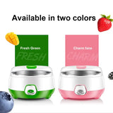 1L Yogurt Maker with Stainless Steel Container – Automatic Electric Yogurt Maker for Homemade Yogurt, Natto & Rice Wine