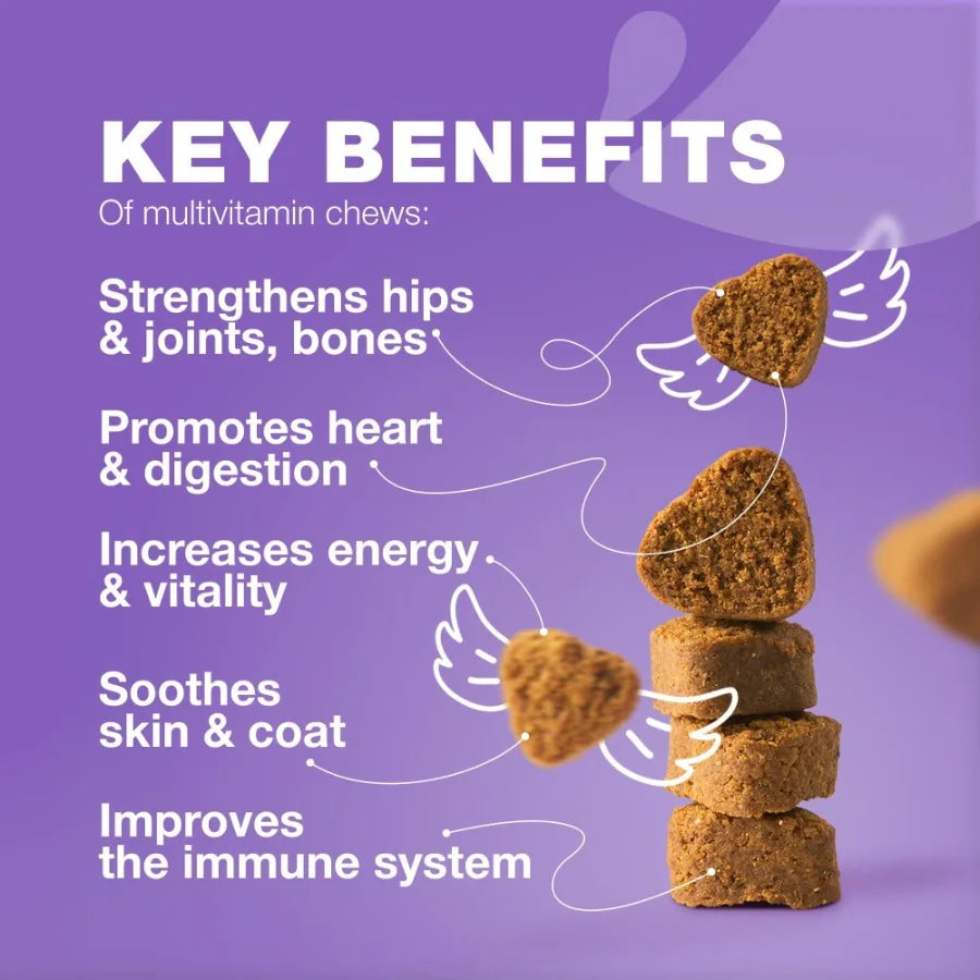 15-in-1 Dog Multivitamin Chews with MSM – Complete Hip & Joint Support, Skin & Coat Health, Itchy Skin Relief & Daily Wellness Supplement