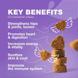 15-in-1 Dog Multivitamin Chews with MSM – Complete Hip & Joint Support, Skin & Coat Health, Itchy Skin Relief & Daily Wellness Supplement