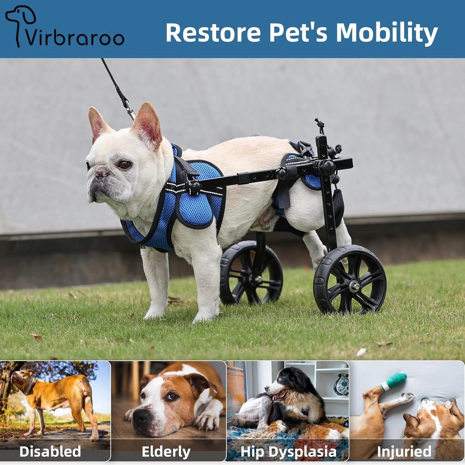 Adjustable Dog Wheelchair for Back Legs – Upgraded All-Terrain Tires, Durable Bearings & Reflective Safety Straps for Mobility Support