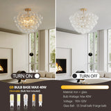 20-Inch Gold Pendant Light – Elegant Clear Glass Globe Shade for Living, Dining & Kitchen Spaces