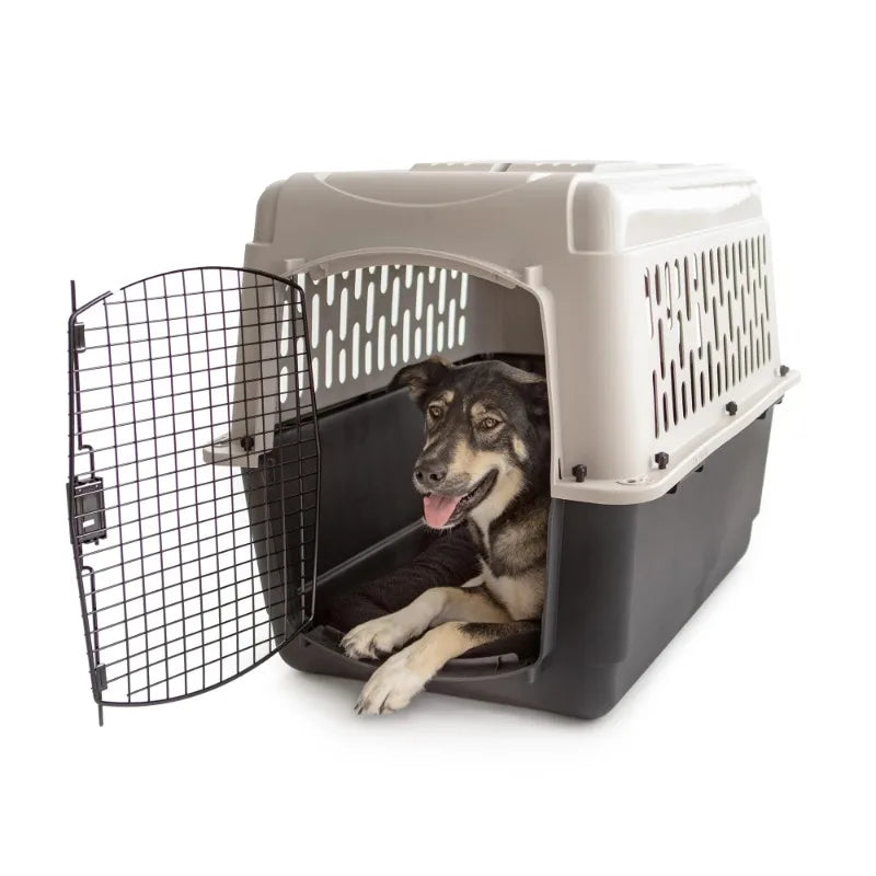 Vibrant Life Medium Pet Kennel (36") – Plastic Travel Dog Crate & Carrier for Pets 50–70 lbs (Grey)