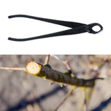 210 mm Bonsai Scissor – Alloy Steel Branch Cutter & Pruning Pliers for Bonsai Trees