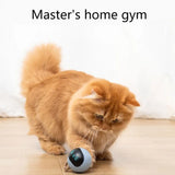 Flapping Bird Cat Toy with Catnip – Interactive Kicker Toy for All Breeds, Realistic Motion Play & Durable Fabric