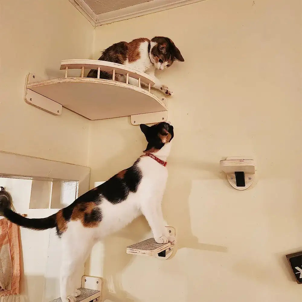 Cat Climbing Shelf – Wall-Mounted Four-Step Stairway with Sisal Scratching Post, Tree Tower Platform for Jumping & Climbing Pet Furniture