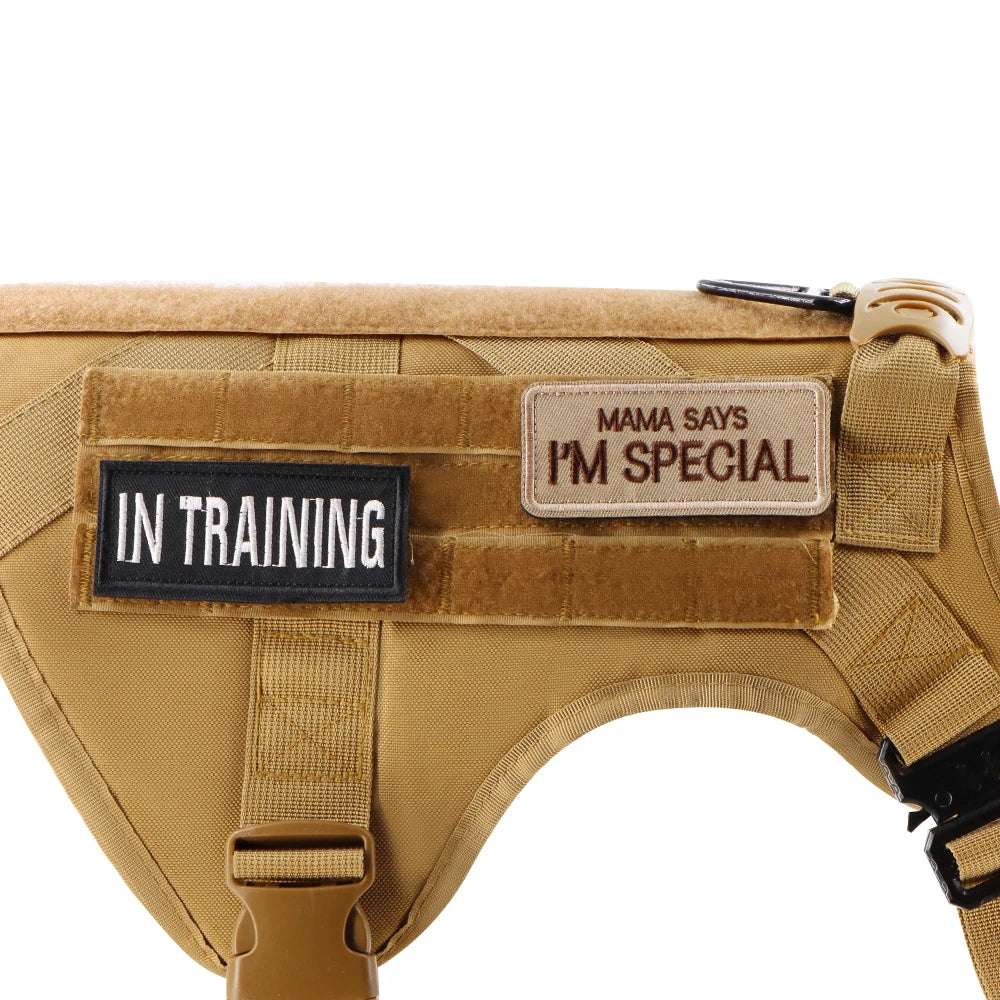 12-Piece Tactical Patch Bundle – Personalized Name ID Tags & Stickers for Dog Vest, Harness & Collar”