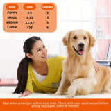 TenderTouch Multivitamin Dog Supplement – 360 Chews, Grain-Free with Digestive Enzymes & Complete Daily Nutrition (3-Pack)