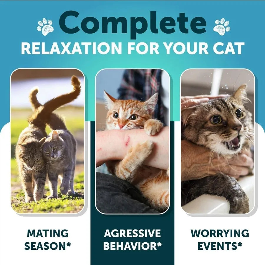 Hemp Cat Calming Treats – Anxiety & Stress Relief with Melatonin for Kittens & Cats, Made in USA, 60ct Jar