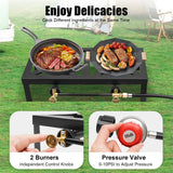 8000W Camping Double Burner Stove – Portable Outdoor Gas Cooker with Regulator & Hose for BBQ & Camping 🔥🍖