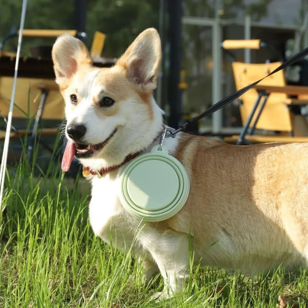 2-Pack Collapsible Pet Silicone Bowls – Portable Folding Food & Water Dishes with Carabiner for Dogs & Cats, Camping & Travel