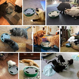 Interactive Running Mouse Cat Toy – Automatic Teaser Indoor Play & Hide-Seek Pet Toy