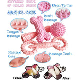 Puppy Teething Toys for Small Dogs (2–8 Months) – Soft Durable Chew Toys for Teeth Cleaning & Playtime