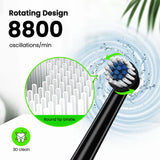 Fairywill Electric Toothbrush T2233 – Rechargeable Sonic Toothbrush with Powerful Rotation Cleaning & 4 Replacement Heads