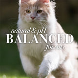 Natural Waterless Dry Shampoo for Cats & Kittens – Shea Butter & Honey Grooming Spray, PH-Balanced Gentle Cleansing Formula