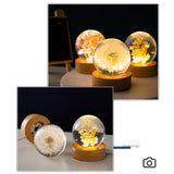 Forever Flowers Crystal Ball Light – LED Round Night Lamp with Wooden Base, Decorative Home & Office Gift for Men, Women & Kids
