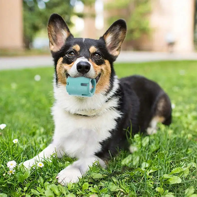 Puppy Teething Chew Ball – Interactive Rubber Puzzle Toy for Small Dogs (Heavy-Duty Tennis Ball Cup)