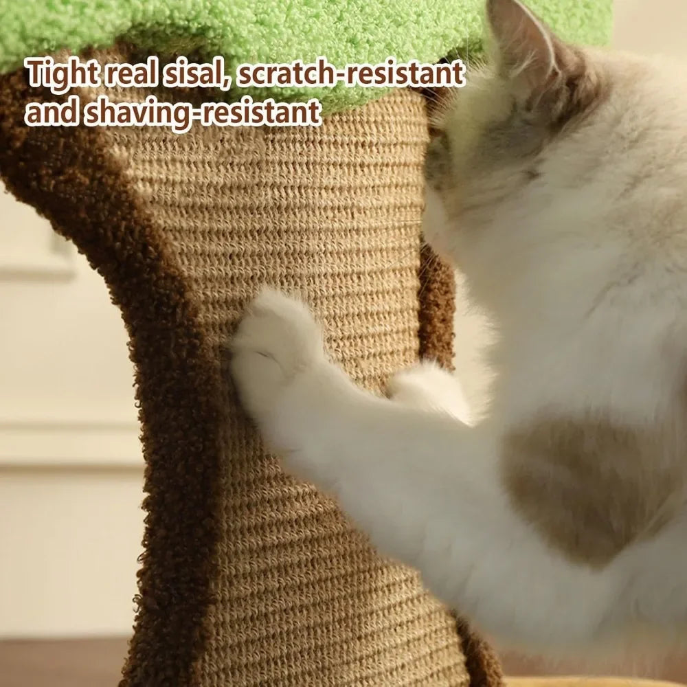 Cat Scratcher Bed with Fluffy Ball – Indoor Kitten & Large Cat Bed with Scratch Pad and Hanging Toy for Play & Rest