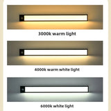 LED Night Light – Ultra-Thin 40cm Motion Sensor Cabinet Light, USB Rechargeable Wardrobe & Kitchen Lighting (2PCS Set)