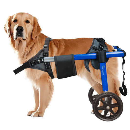 Dog Wheelchair for Back Legs – Adjustable Mobility Support with All-Terrain Tires & Durable Bearings for Large Dogs