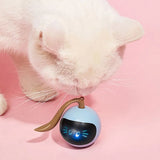 Flapping Bird Cat Toy with Catnip – Interactive Kicker Toy for All Breeds, Realistic Motion Play & Durable Fabric